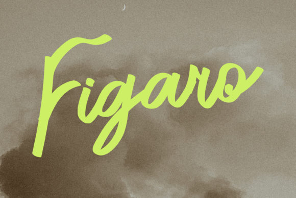 Figaro: The Script Handwritten Font That Elevates Your Digital Brand