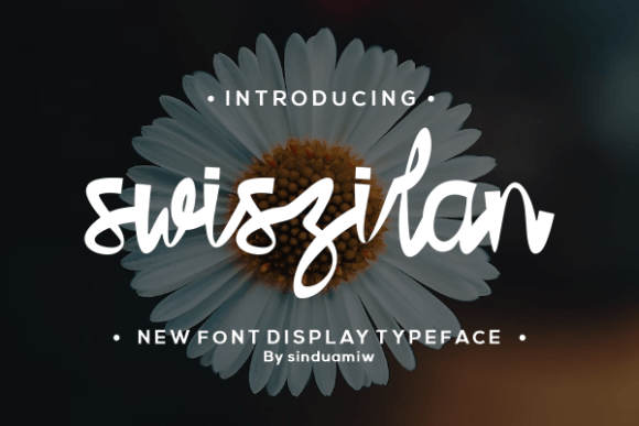 Swiszilan: A Script Handwritten Font for Bold Creative Projects