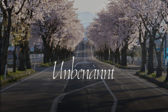 Unbenannt: A Handwritten Font for Editorial Elegance