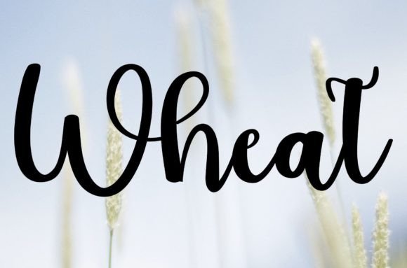 Wheat Font: A Standout Script Handwritten Choice